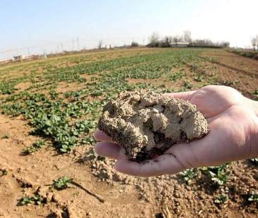 Siccità, un anno da dimenticare, ma la vera calamità sono le reti