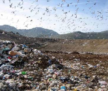 Rifiuti, i sindaci di 50 comuni siciliani  a Musumeci: “Sistema al collasso”