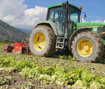 Agricoltura, la Sicilia resiste a chiusura aziende