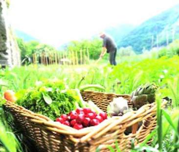 La Sicilia schiaccia l’occhio al “bio”