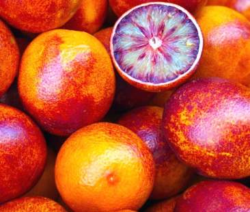 Arance siciliane, un piano mirato per essere più forti sul mercato