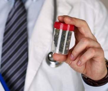 Cannabis per scopi terapeutici. Ecco come funziona in Sicilia