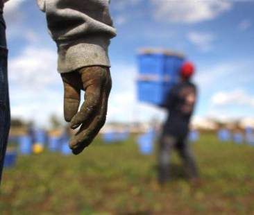 Lavoro sommerso, Sicilia in nero