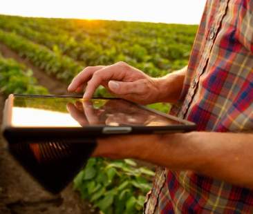 Innovazione imprese agricole, fondi in Sicilia