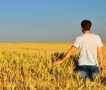 Boom di giovani agricoltori da Nord a Sud ma i prezzi dei terreni frenano l’iniziativa Boom di giovani agricoltori da Nord a Sud ma i prezzi dei terreni frenano l’iniziativa