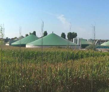 Energia verde dall’agricoltura, l’occasione sprecata dall’Isola