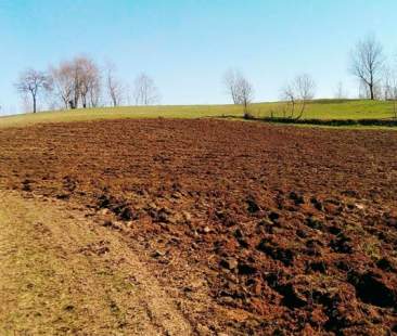 “Banca della Terra”, si accelera per attuare la legge dimenticata