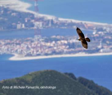 Dall’elettrodotto Sorgente-Rizziconi” una mano alla scienza