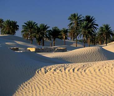 Da Douz, l’oasi più antica della Tunisia. Un viaggio fra le meraviglie del deserto