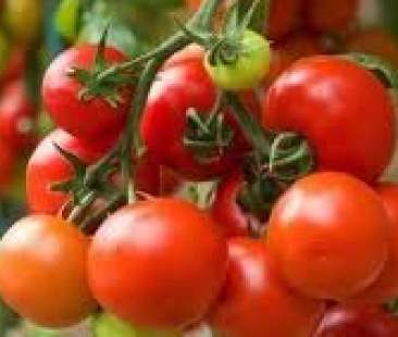 Agricoltura: Musumeci, un tavolo tecnico per affrontare la crisi