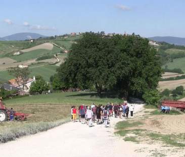 Il turismo siciliano in cerca di alternative