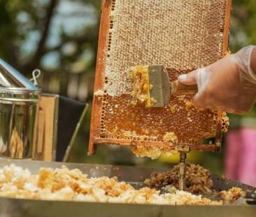 Produzione di miele, la Sicilia riparte