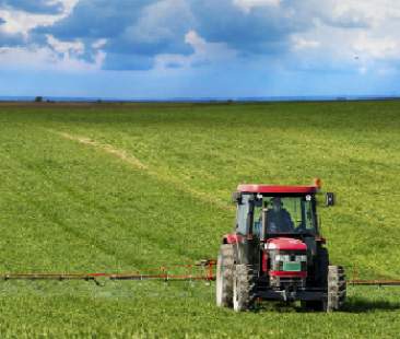 Fondi Ue per l’agricoltura, ritardi “letali” per la Sicilia