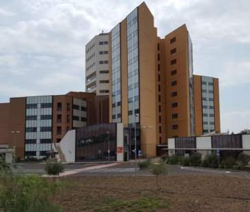 Bancarotta: sequestro beni per tre milioni alla Sigenco