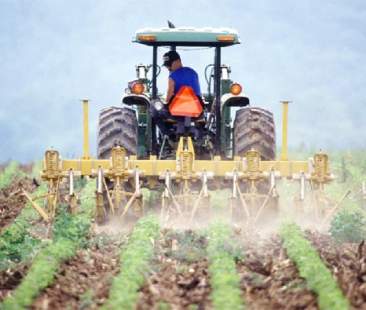 Agricoltura proibita ai giovani in Sicilia