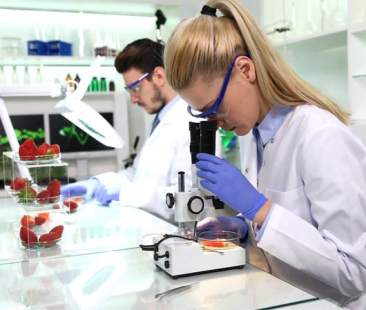 Correlazione tra sindrome Pans/Pandas e alterazioni del macrobiota intestinale