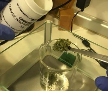 Cannabis terapeutica: Comitato Esistono i diritti, “Bene tavolo”