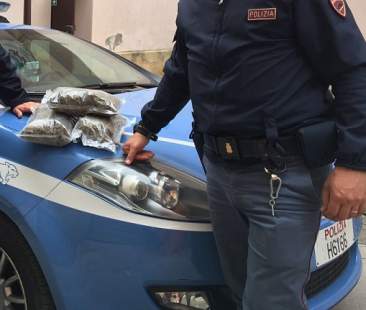 Droga: blitz nell’Ennese, sette misure cautelari