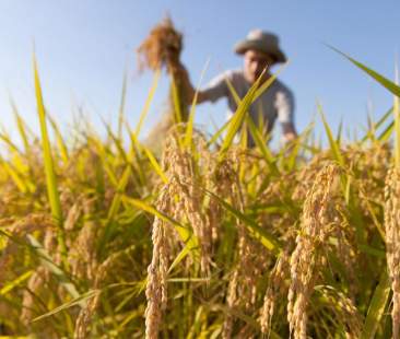 Agricoltura 4.0, Regione coltivi l’innovazione