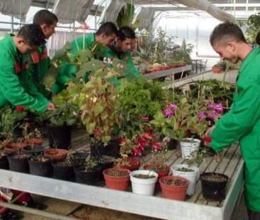 Agraria, record di studenti +36% in cinque anni