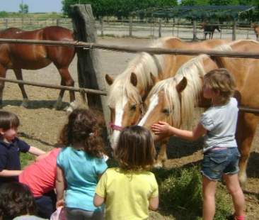 Fattorie didattiche, in Sicilia non attecchiscono