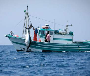 Pesca siciliana, flotta ridotta di 450 unità