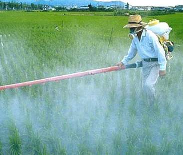 La Sicilia “affoga” nei pesticidi. Residui in oltre il 60% delle acque