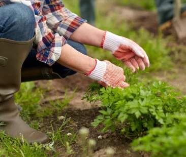 Portatile, verticale o anche rialzato: diverse tecniche per l’Ortomania