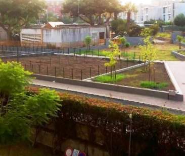 Boom per gli orti urbani: Emilia Romagna leader