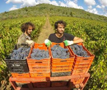 Corsa alla terra per trentamila giovani Corsa alla terra per trentamila giovani