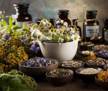 Sono 7,8 milioni gli italiani che usano le erbe per curarsi Sono 7,8 milioni gli italiani che usano le erbe per curarsi