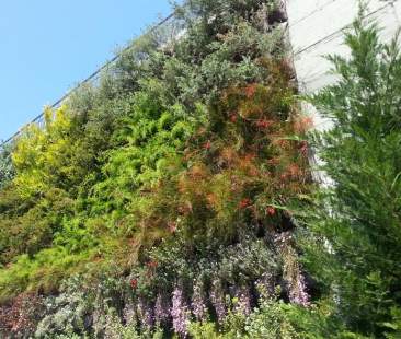 Catania – Tondo Gioeni, lavori al rush finale, ma si riapre la diatriba sul Ponte