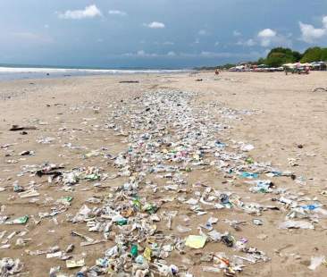 Tutti a mare tra rifiuti e veleni Tutti a mare tra rifiuti e veleni