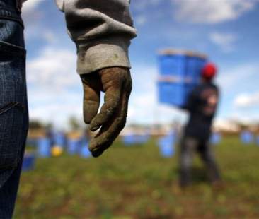 Migranti: Caporalato, operazione in tutt’Italia