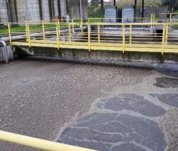 No depurazione, quanto ci costa!