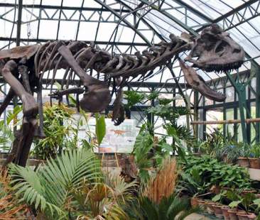 Il Sistema Museale di Ateneo, tutela e sviluppo del patrimonio storico dell’Università di Palermo