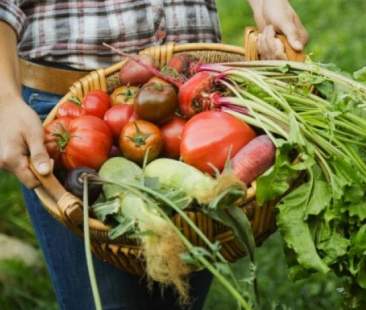 Agroalimentare: il contributo di Unci