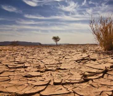Siccità, Sicilia lasciata a desertificare Siccità, Sicilia lasciata a desertificare