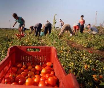 Caporalato: migranti resi schiavi, due arresti in Sicilia
