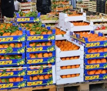 Mafia: Vittoria, maxisequestro al “re degli imballaggi”