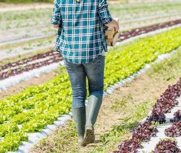 Agricoltura incompiuta, agricoltori azzoppati