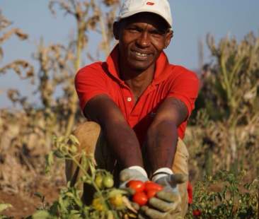 Migranti: minori sfruttati, otto indagati nel Palermitano