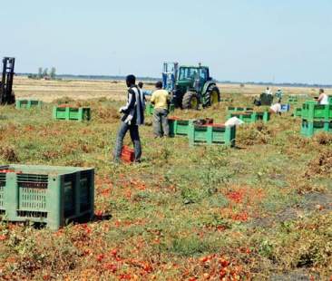 Lavoro nero: 6,3 mld di euro sottratti allo Stato