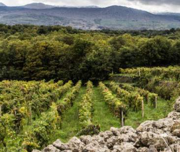 Export: in Sicilia aumenta del 30,4%