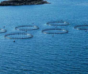 Acquacoltura nelle aree interne della Sicilia