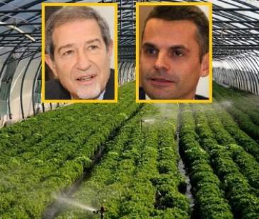 Psr: ok a duemila domande per 235 milioni