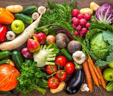 Divertimento e una corretta alimentazione ecco come tutelare la salute dei più piccoli