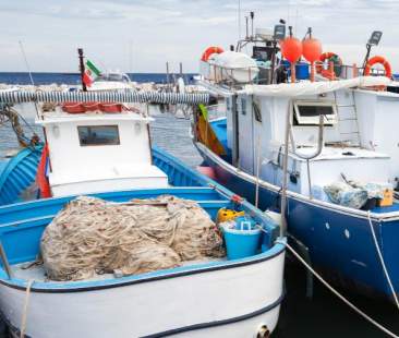 Sette bandi da 11 mln di euro per il rilancio del settore ittico