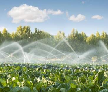 Acque reflue, una risorsa per l’agricoltura. Da Marsala a Catania: i progetti in campo