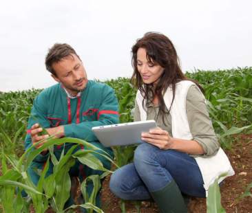 235 mln per nuove aziende di giovani agricoltori